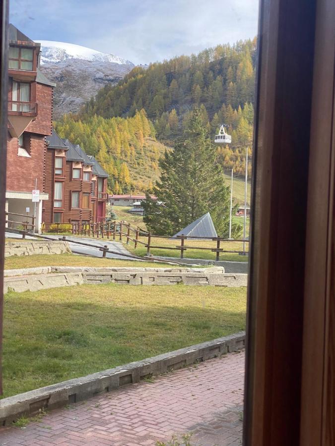The Nest Alpine Loft Ski-In Ski-Out Breuil-Cervinia Esterno foto
